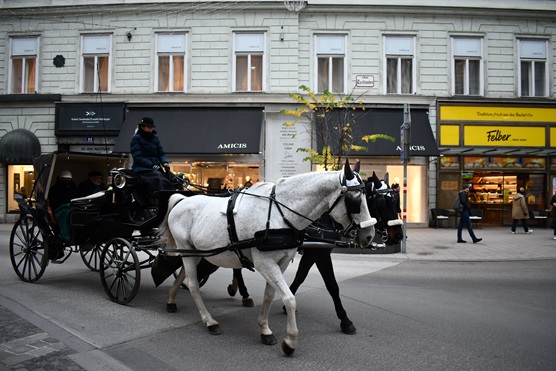 Vienna, walking along the way to Stephansdom
